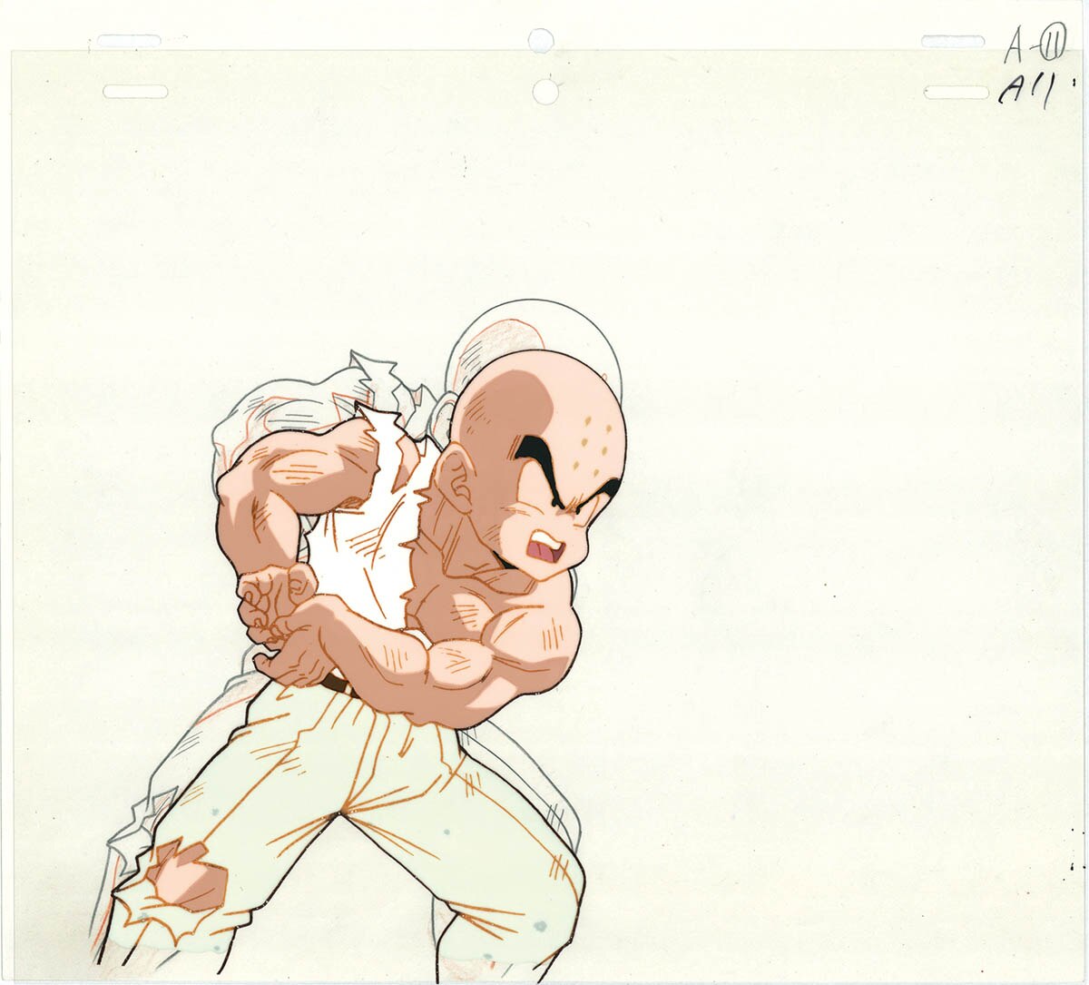Dragon Ball Z — image 1 of 1