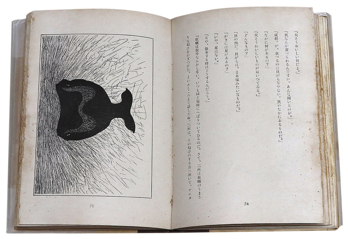 年を歴た鰐の話