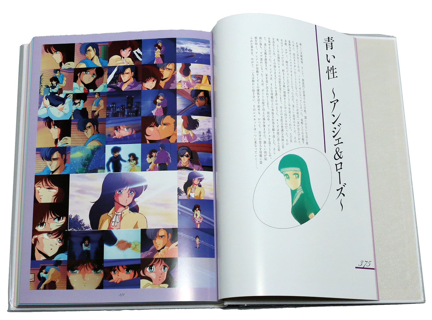 くりぃむレモン フィルム記録全集 おまけ付き 美少女アニメ メモリー 記録写真集 Part3 SF・超次元伝説ラル｜アニメーション