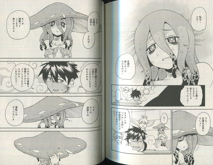 モンスター娘のいる日常 11巻 サイン本 PG-8109]モンスター娘のいる日常 11巻 直筆イラストサイン本 オカヤド
