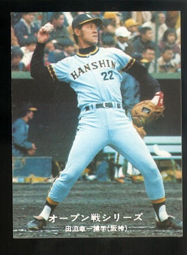 【新品、本物、当店在庫だから安心】 カルビー プロ野球カード 1977年度版 NO．151 田淵幸一 その他