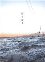 サイン入り 杉本有美 yumi 360 杉本有美写真集