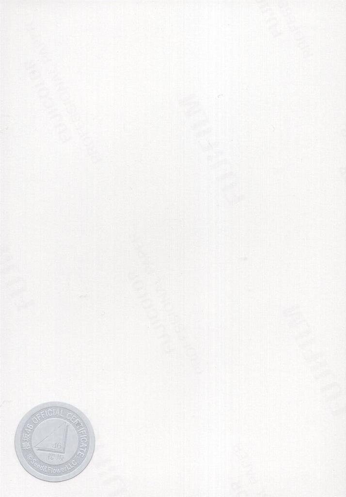 櫻坂46 4th YEAR ANNIVERSARY LIVE 松田里奈 【直筆サイン入り】2024年