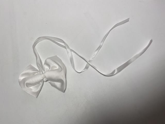 Item's picture