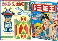 8003] 1978(S53)11 テレビマガジン付録 スパイダーマンひみつブック