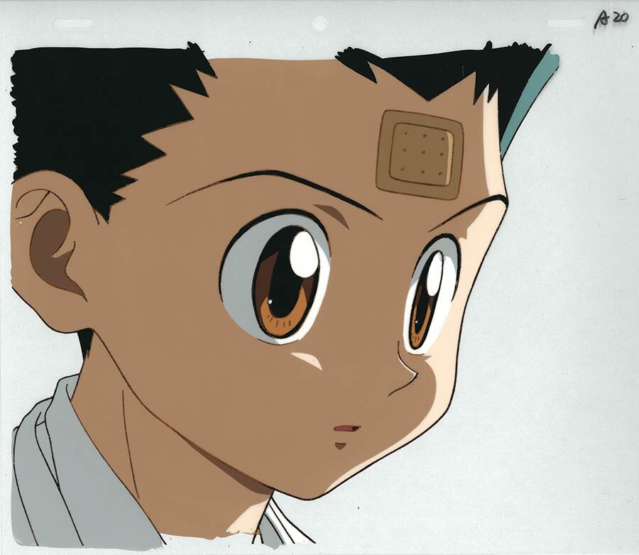 Hunter x Hunter — image 1 of 2