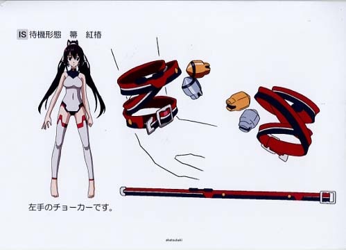 IS2-インフィニット・ストラトス2- 設定
