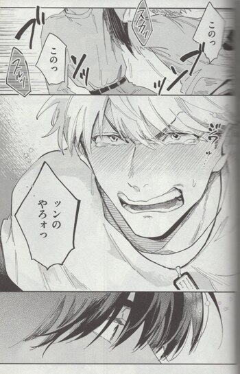 Tobiwashio Hand Signed Book Is It A Lie Or Makoto