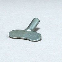 Item's picture