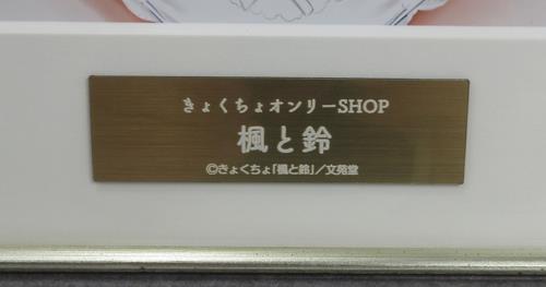 Item's picture