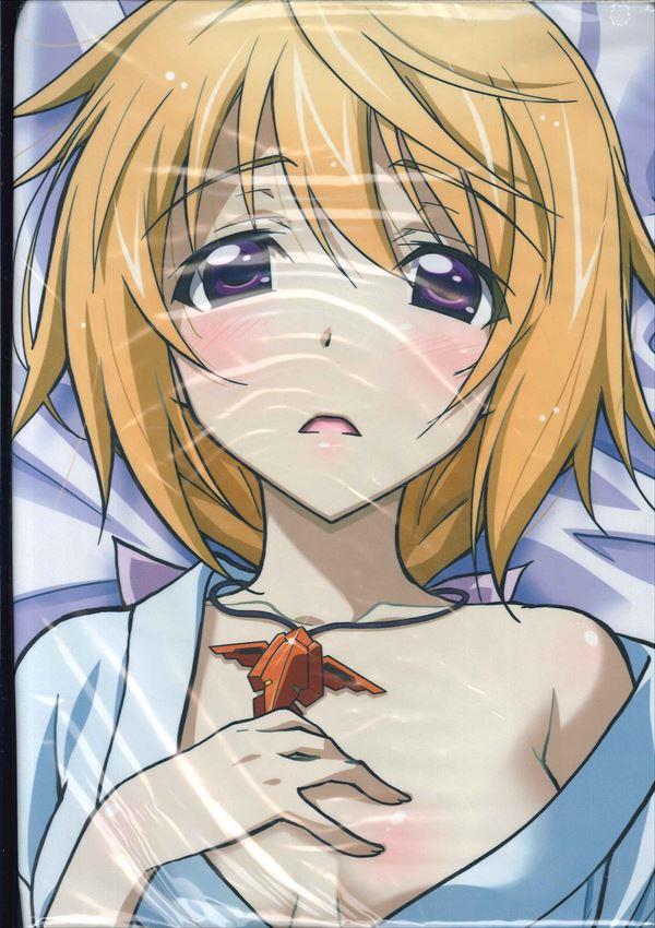 TBSアニメーション IS-インフィニット・ストラトス- シャルロット=デュノア抱き枕カバー(C86ver)