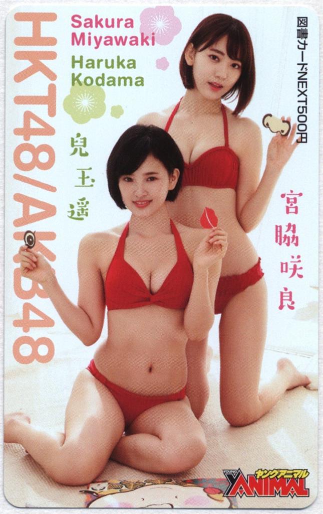 ヤングアニマル 2015年No.4 グラビア切り抜き HKT48 兒玉遥 森保