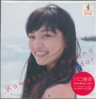 浅香唯タペストリー　YAWARA 浅香唯 YAWARA タペストリー