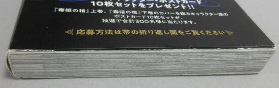 Item's picture