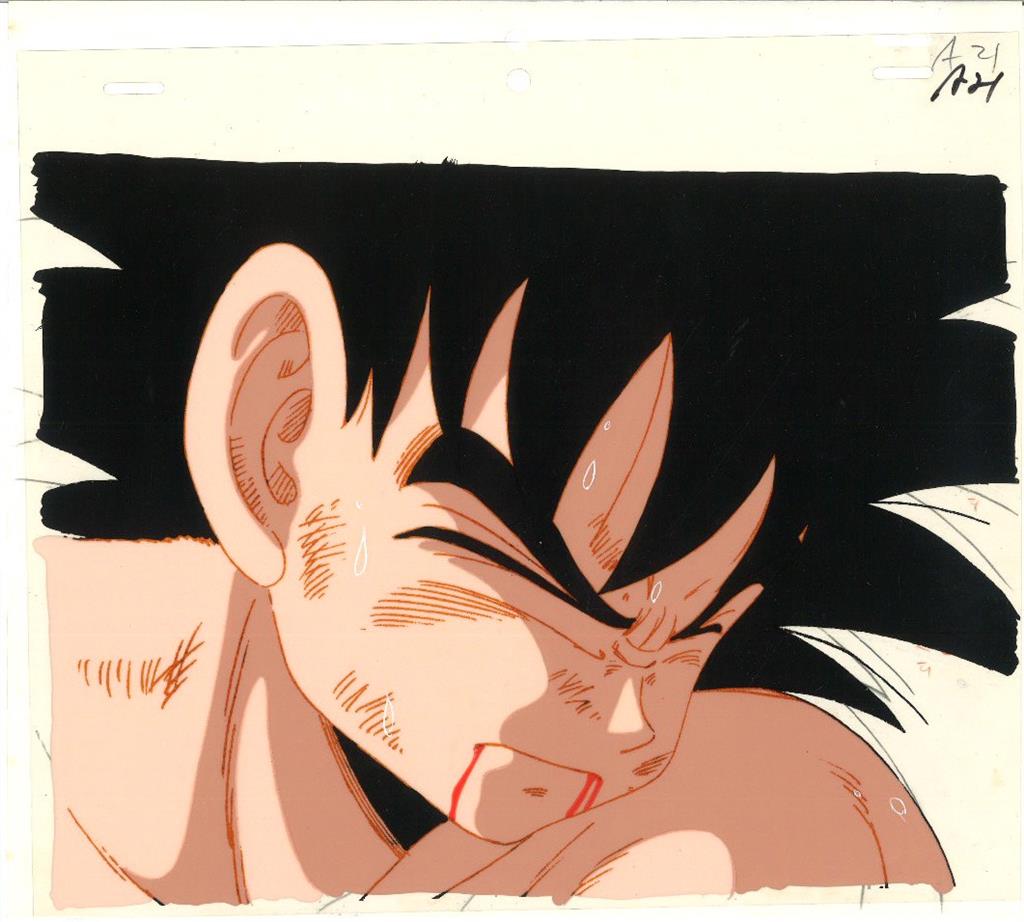 Dragon Ball Z — image 1 of 1