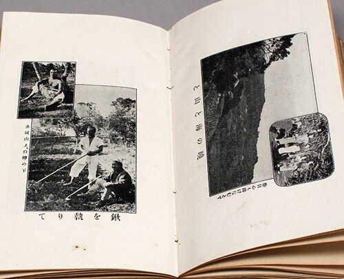 肥田式強健術(DVD）
