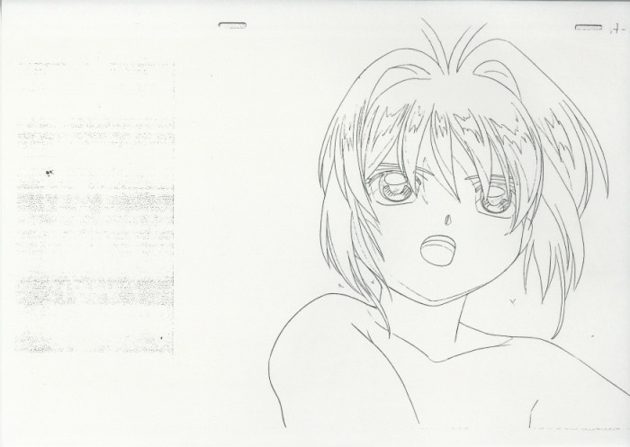 カードキャプターさくら 動画コピー