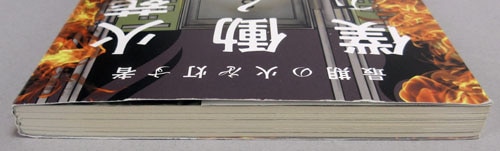 Item's picture