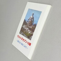スーパーリアル麻雀 ポストカードセット 奇跡シリーズ2012