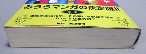 Item's picture