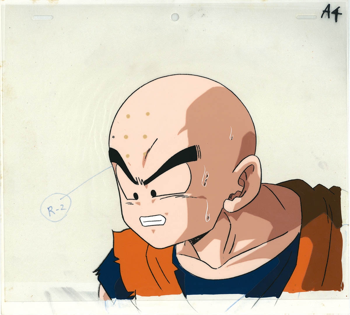 Dragon Ball Z — image 1 of 1