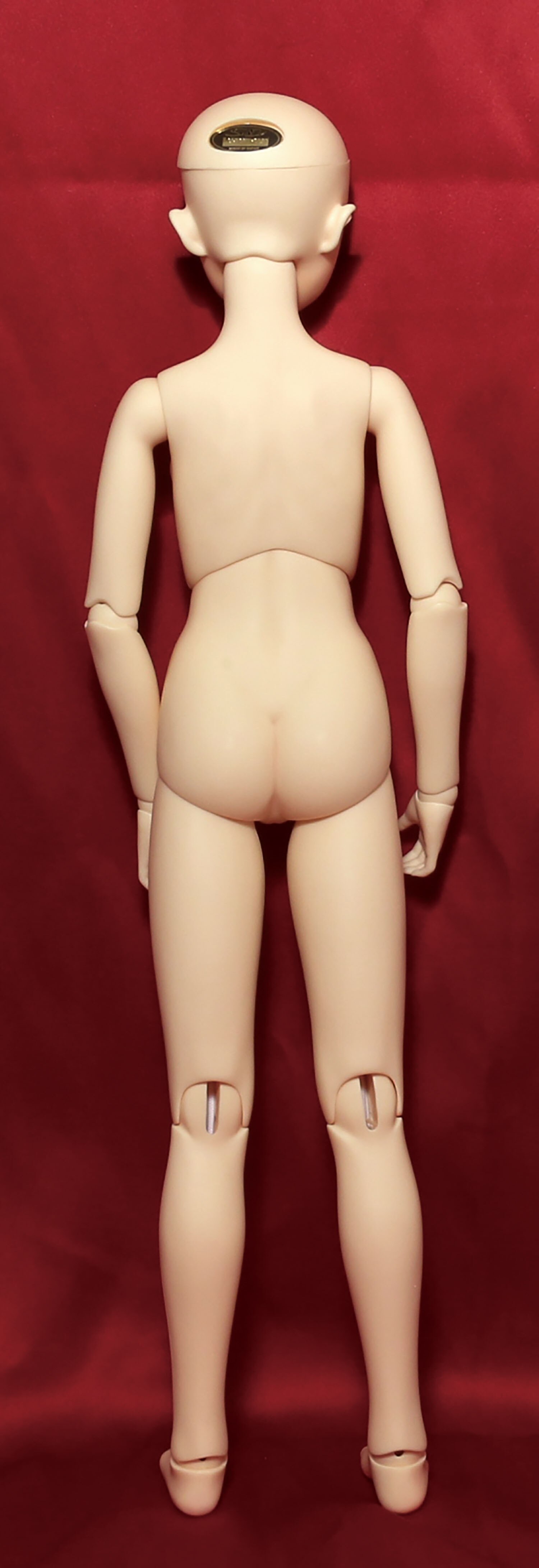 ボークス SD13女の子ワンオフのボディ 【公式通販】