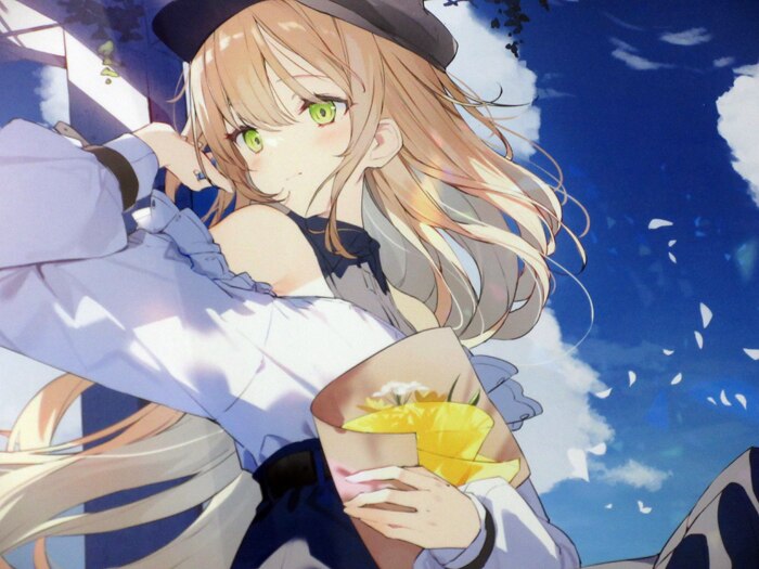 Ashima Color Reproduction Illustration