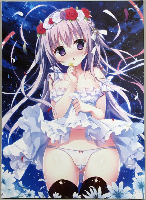 カラー複製イラスト 白もち桜 Nb 3696
