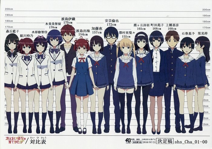 Saekano How To Raise A Boring Girlfriend Flat Setting