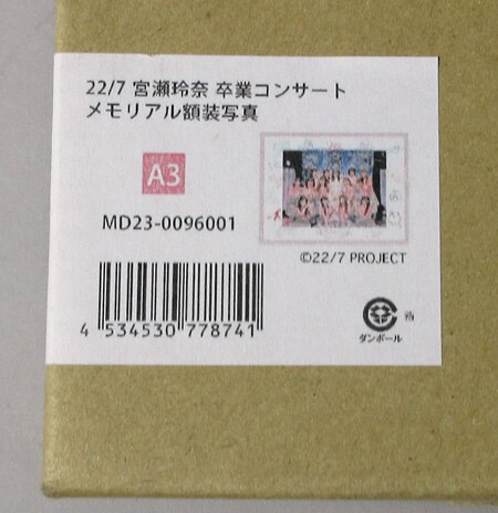 22/7 宮瀬玲奈卒業コンサート」メモリアル額装写真 
