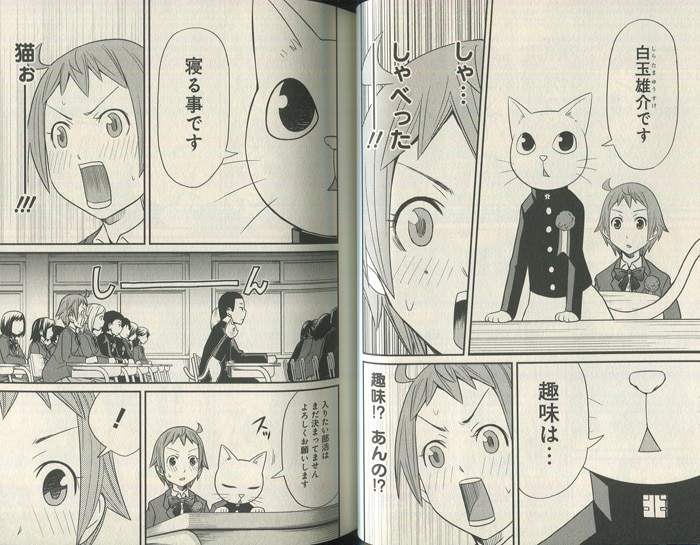 Pg 9115 しらたまくん 1巻 直筆イラストサイン本 稲葉そーへー