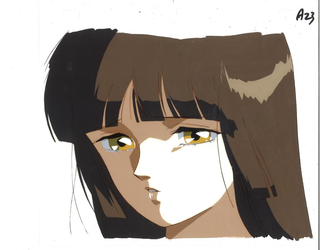 セル画 吸血姫美夕 美夕