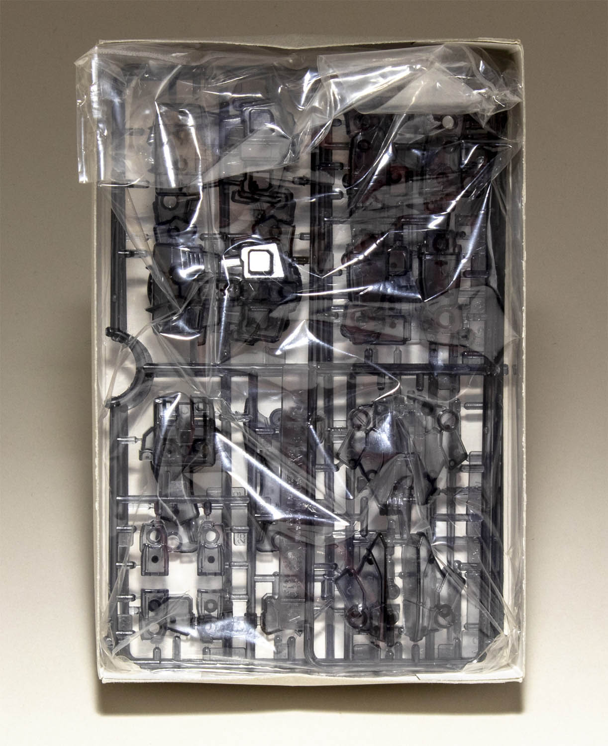1/144 FG ガンダム MILLENNIUM 2000 EDITION