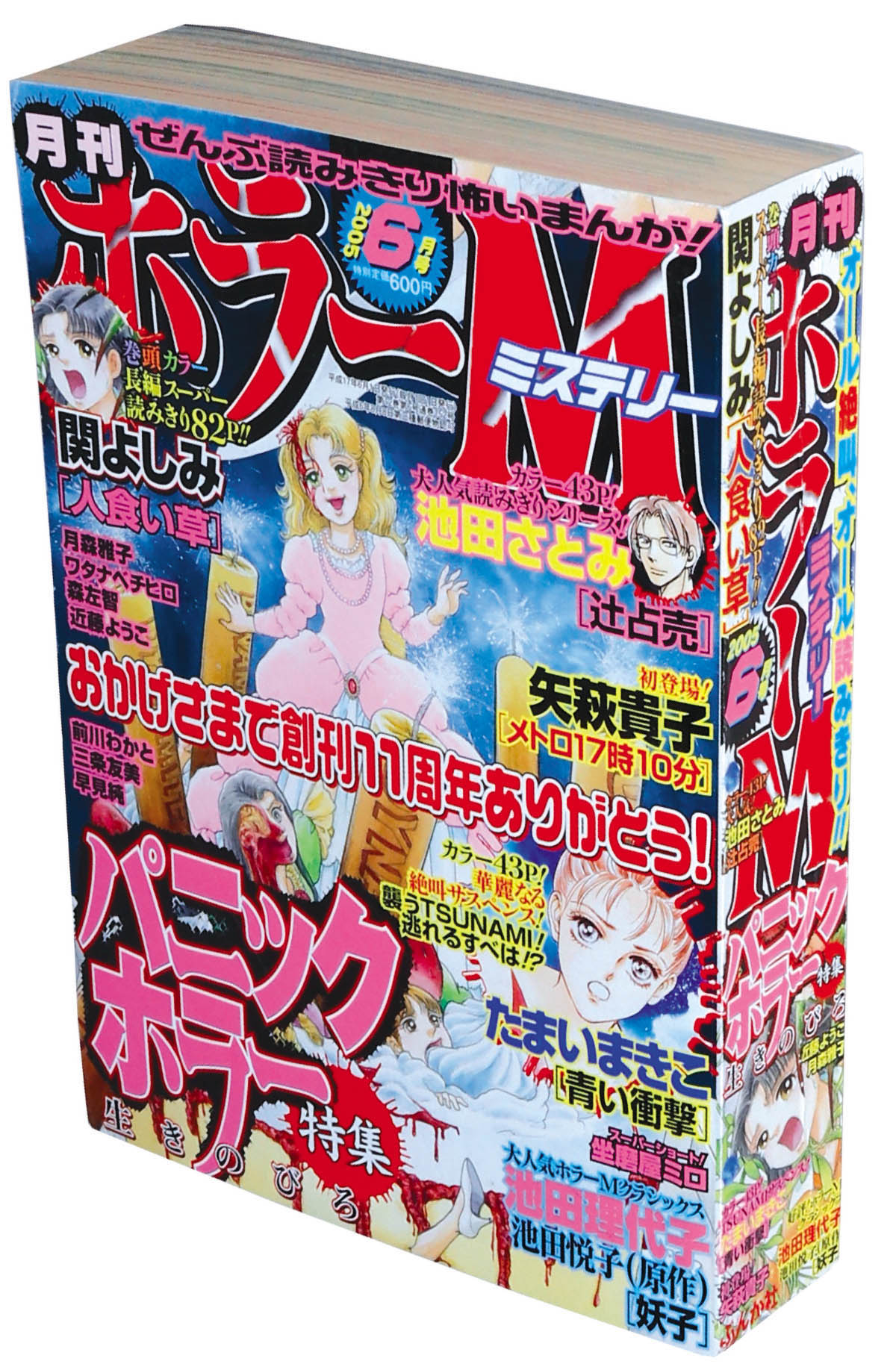 希少一年分まとめ売り★ホラーM ホラーミステリーぶんか社　2005年1月〜12月 ホラーM 2005年12冊セット2005(H17)