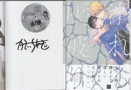 【激レア】あじ秋刀魚　直筆サイン色紙【Innocent Grey】 激レア】あじ秋刀魚 直筆サイン色紙【Innocent Grey】 - メルカリ