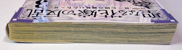 紫堂恭子 直筆イラストサイン本「聖なる花嫁の反乱～亡国の御使いたち