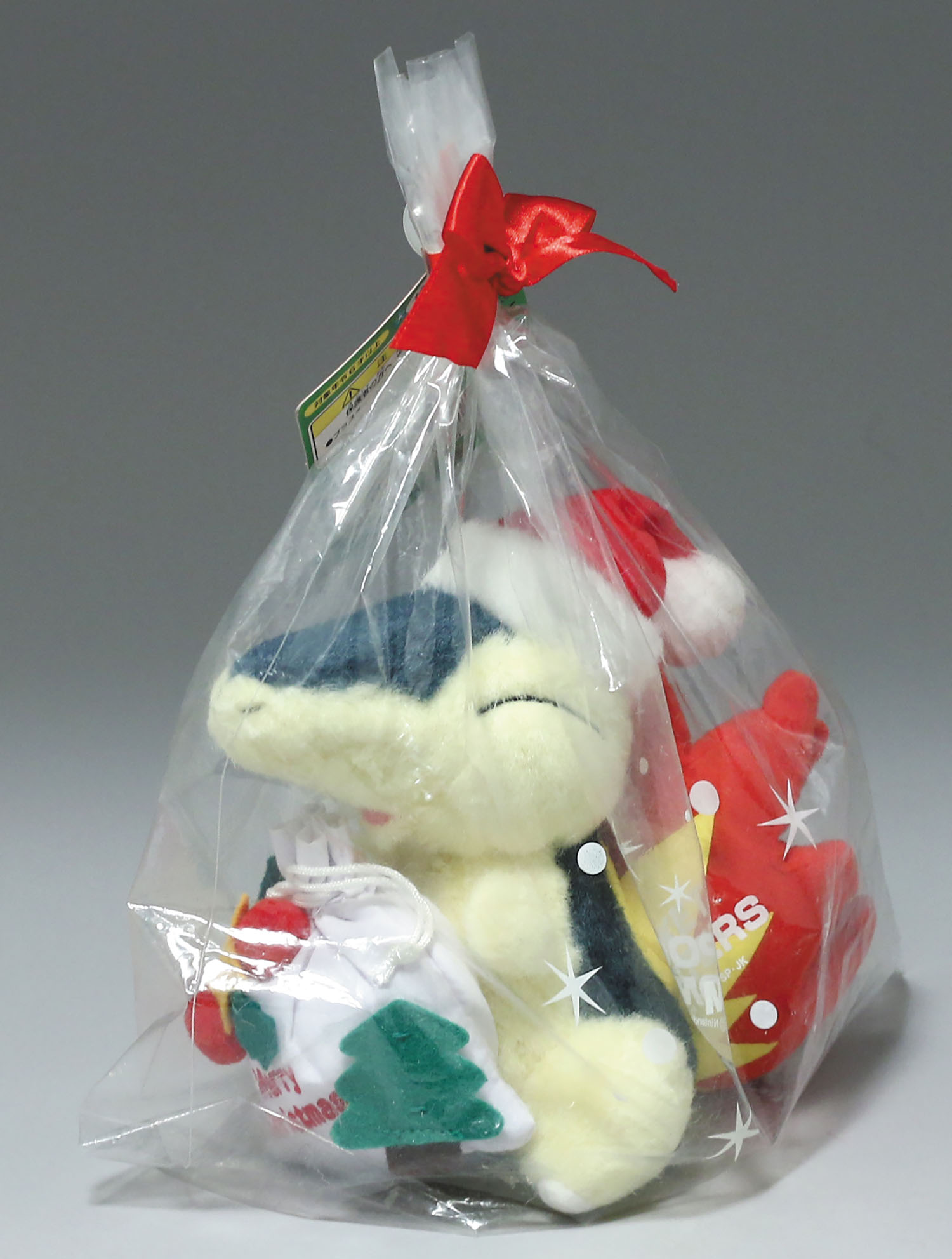 【レア】ポケモンサンタ　ヒノアラシ　ポケモン　ぬいぐるみ ポケモン サンタ ヒノアラシ