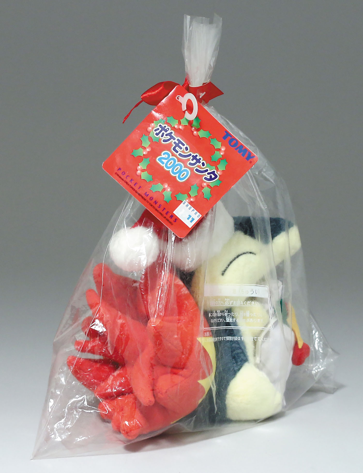 ポケモン サンタ ヒノアラシ