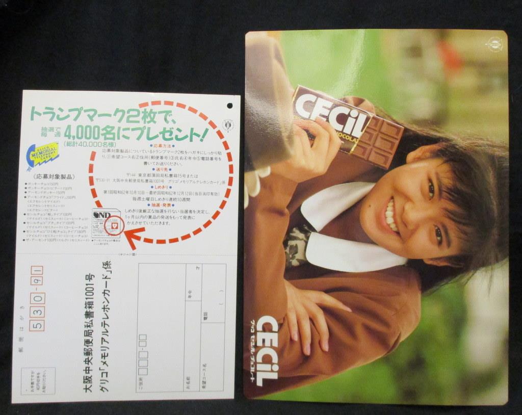 グリコ プレゼント応募ハガキ＆下敷き 南野陽子 H255mm W182mm(下敷き