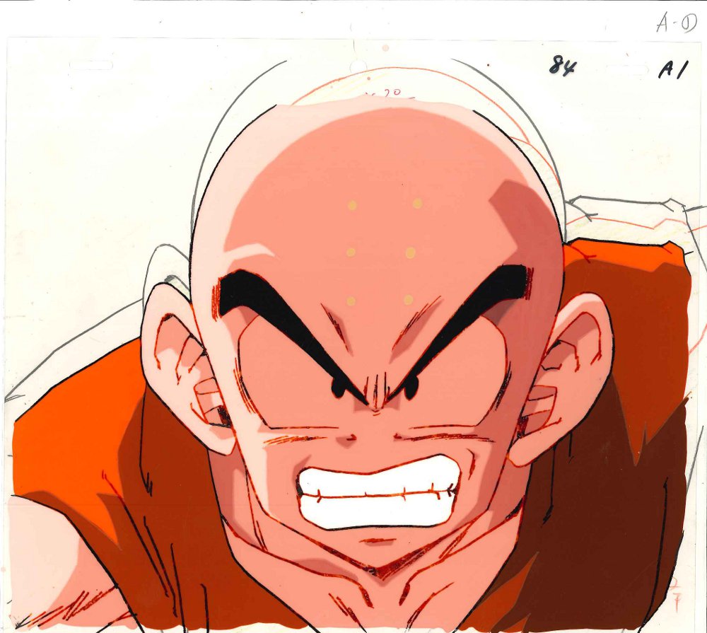 Dragon Ball Z — image 1 of 1