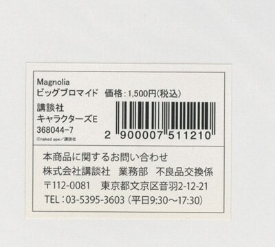 Item's picture