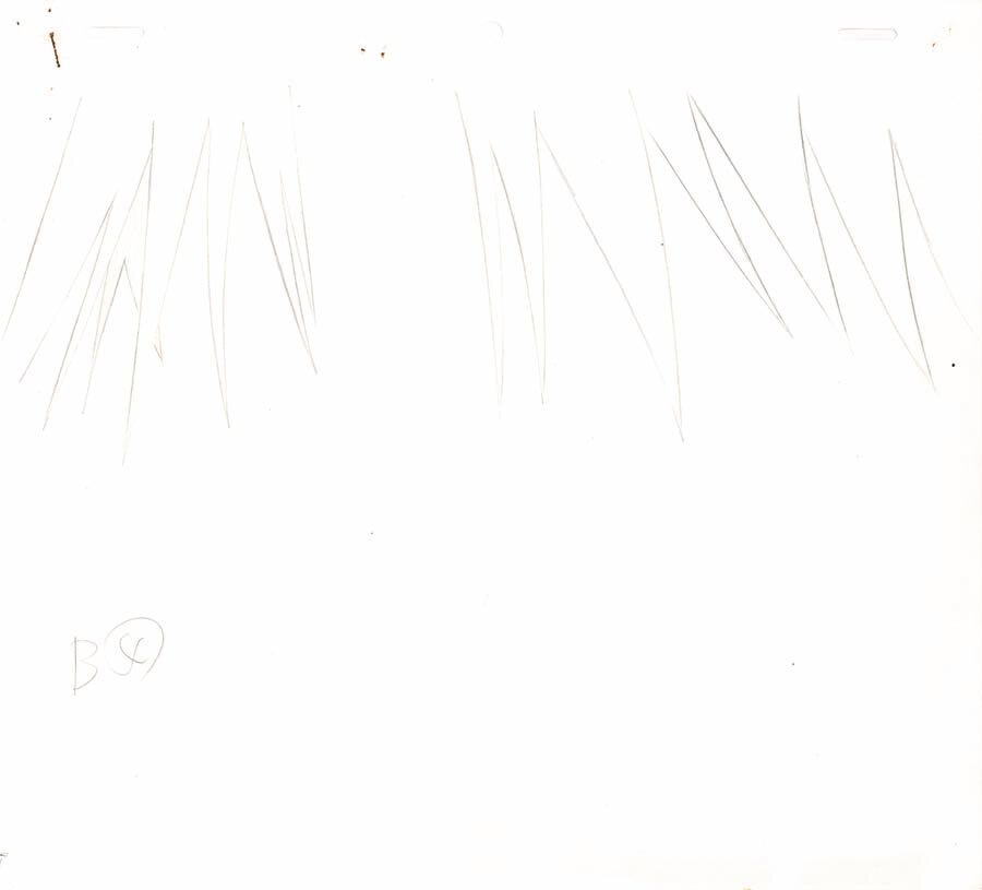 Item's picture