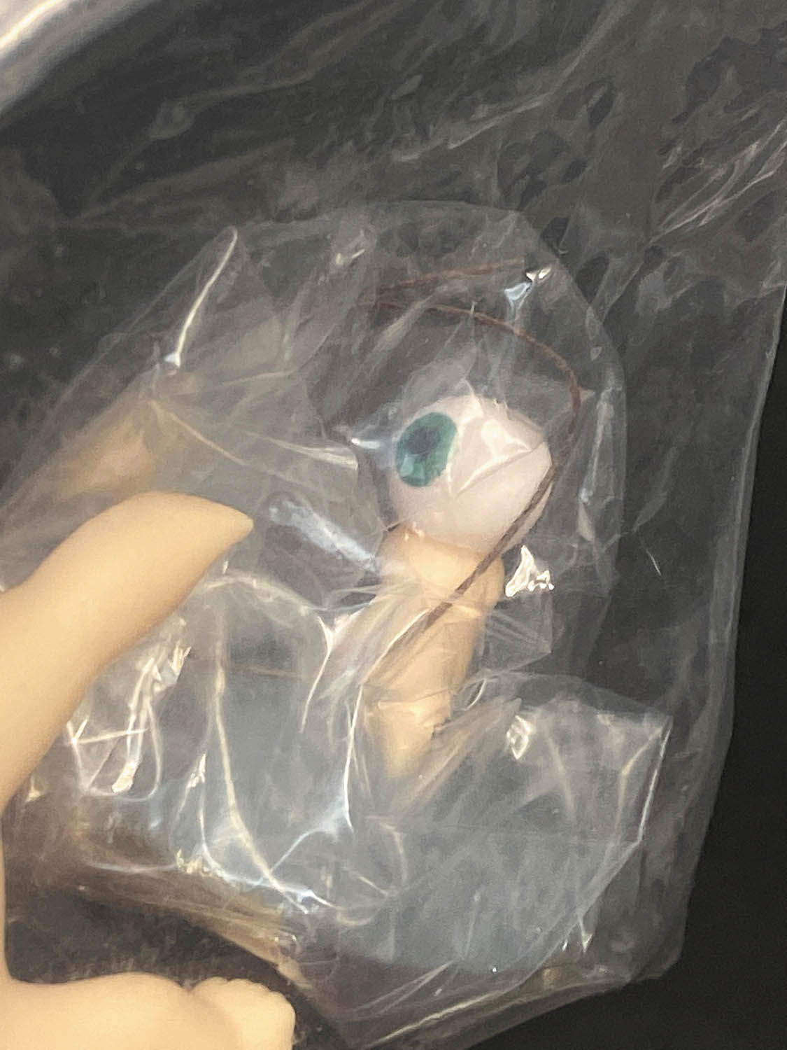 サンガッツ本舗 鬼太郎の誕生 肌色成型 茶髪