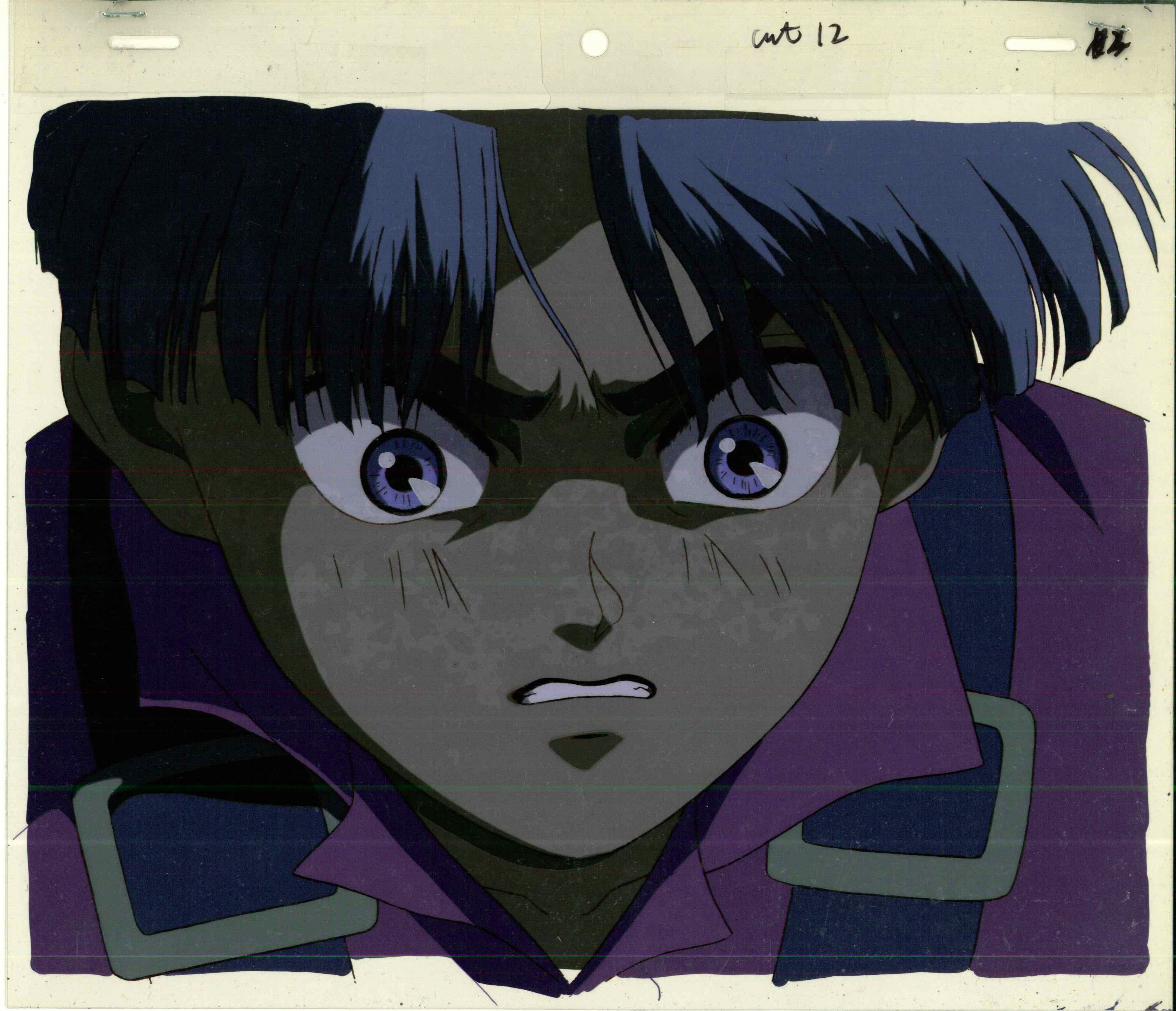 Ova Protecting The Earth Of The Kobayashi Wheel Cell Painting
