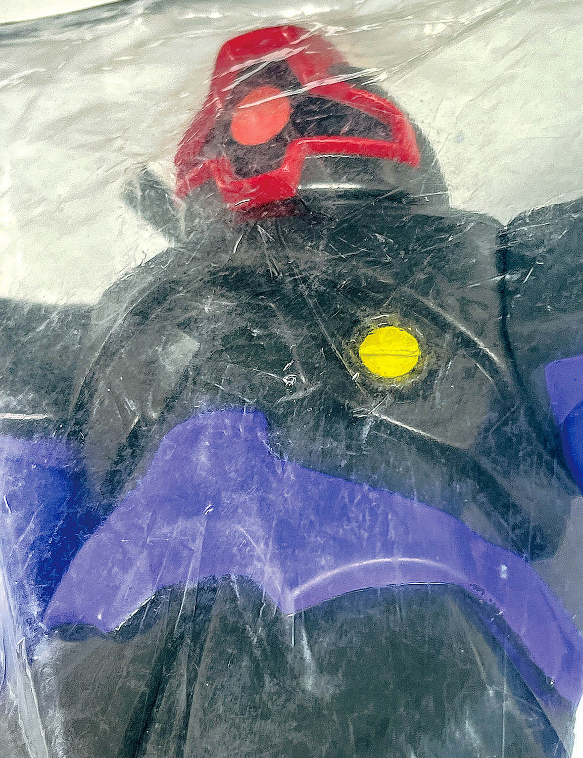 Item's picture