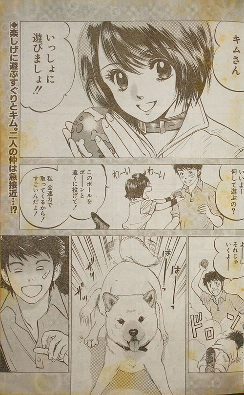 漫☆画太郎未収録「珍入社員金太郎」掲載誌『週刊ヤングジャンプ