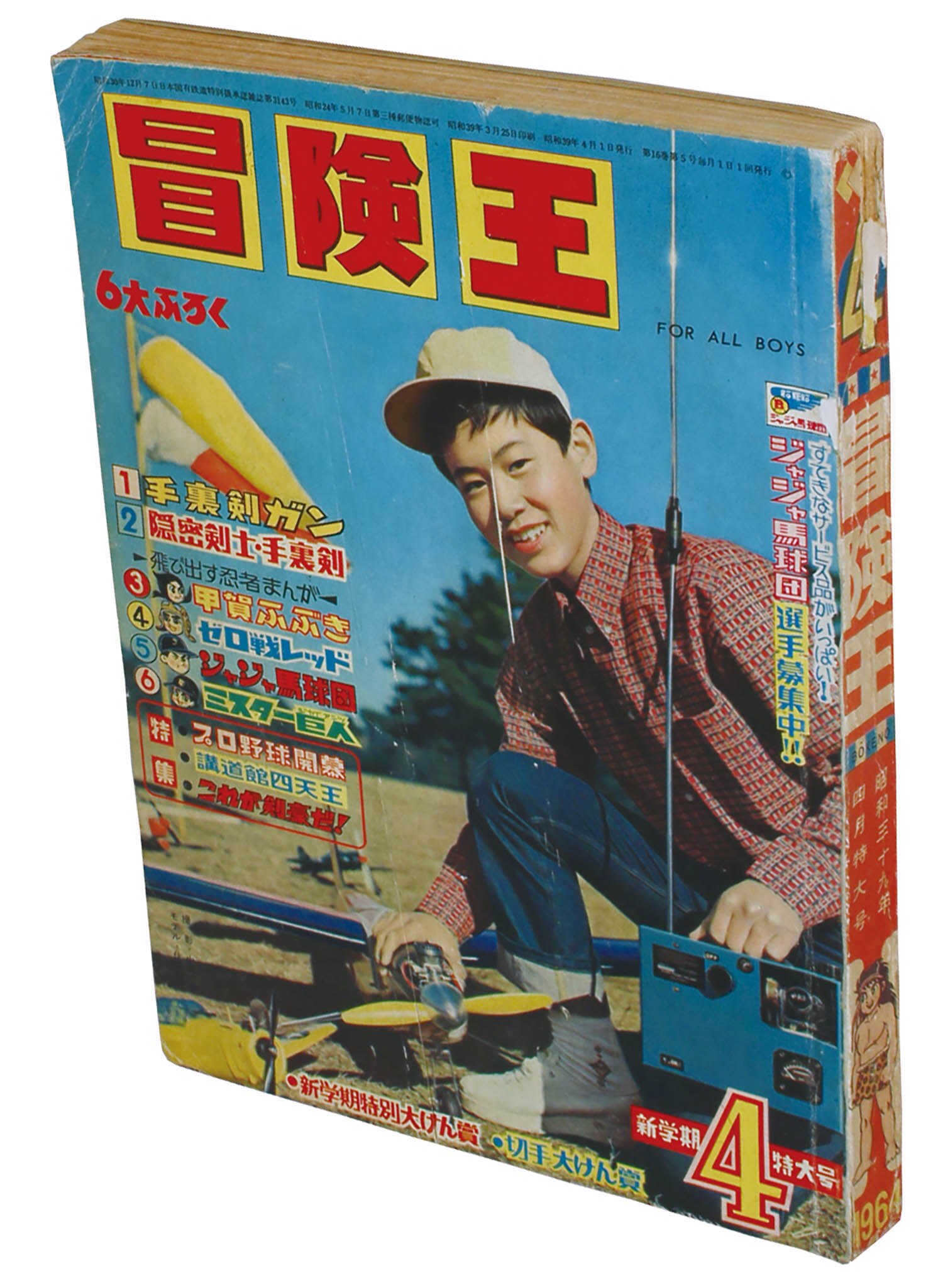まんがシリーズ　僕とクルマの大冒険 Amazon.co.jp: A LIFE OF THE BEETLE-あるカブトムシの一生- (3