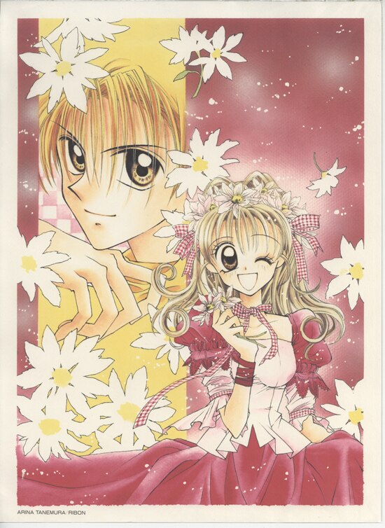 種村有菜 カラー複製イラスト「神風怪盗ジャンヌ」 種村有菜 カラー複製イラスト「神風怪盗ジャンヌ」
