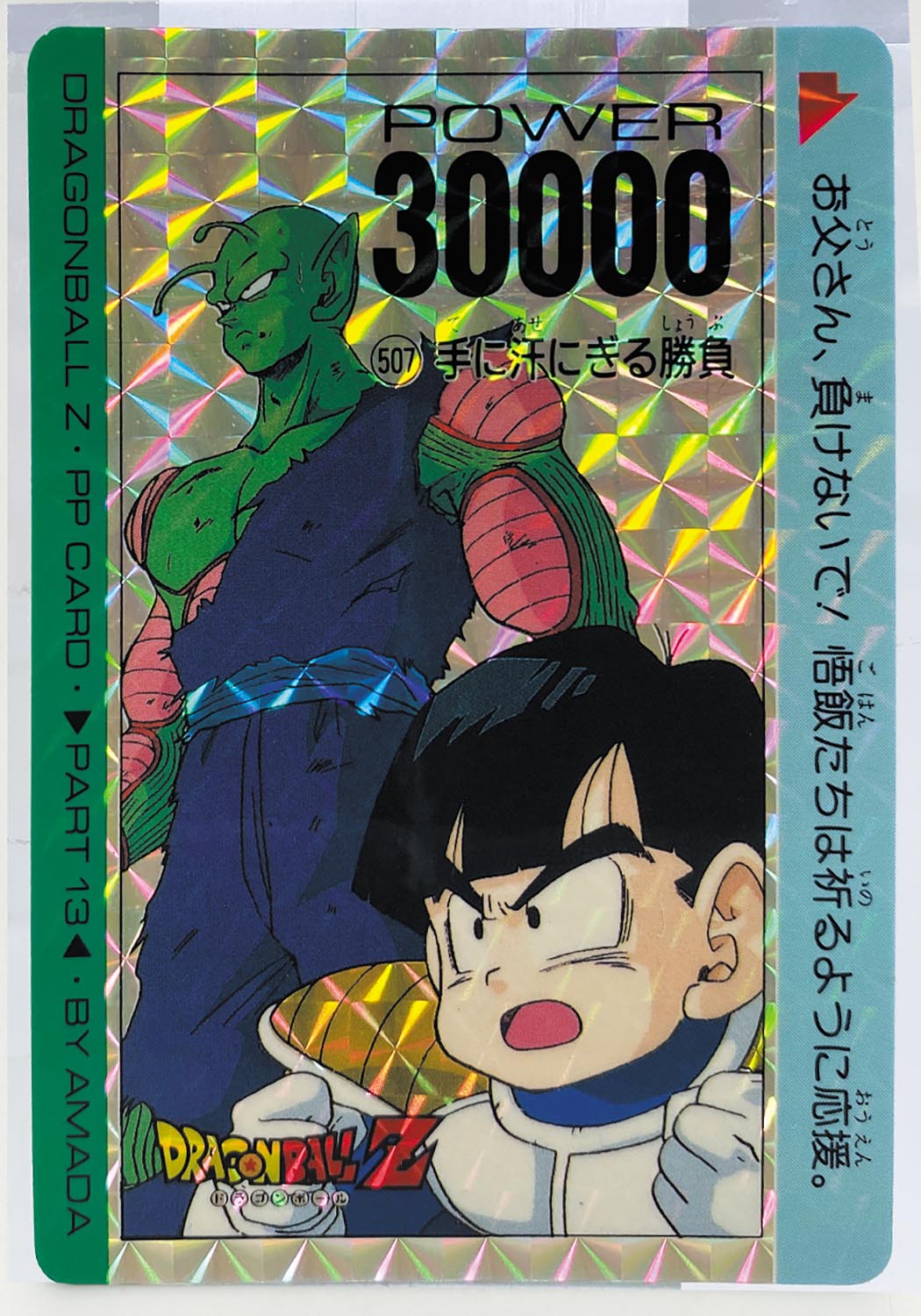 ドラゴンボール Ppカード 復刻メモリアル Part13 No 507 手に汗にぎる勝負 ドラゴンボール Ppカード 復刻メモリアル Part13 No 507 手に汗にぎる勝負