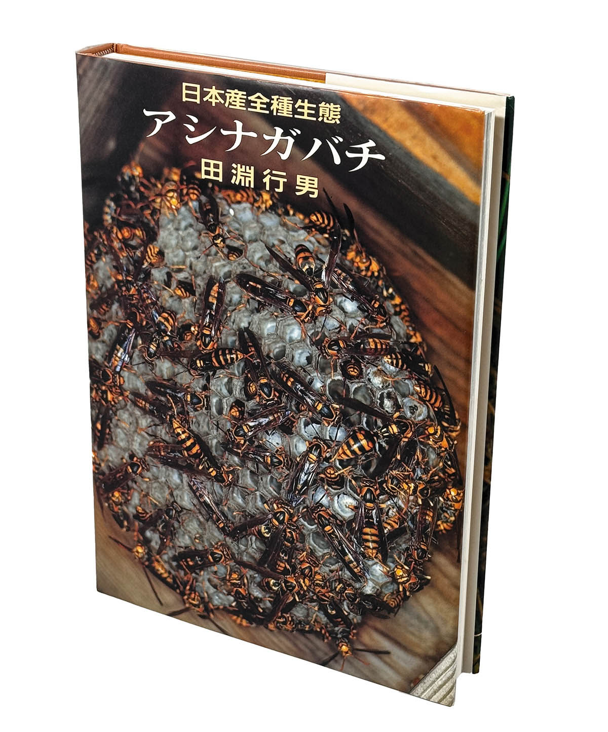 アシナガバチ 日本産全種生態 】田淵行男/著 講談社 昭和63年初版1刷